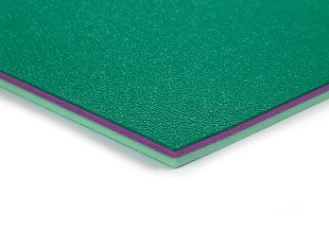 Sports Space with Stylish Badminton Court Mats