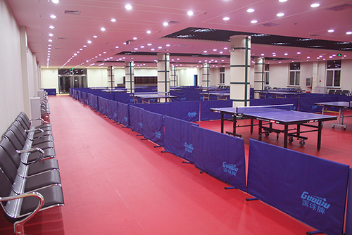 anti static vinyl flooring